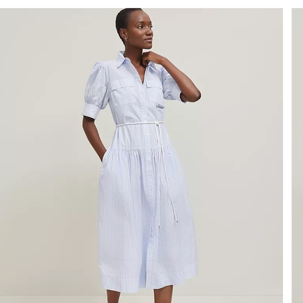 Classic Blue Striped Shirt Dress Ann Taylor